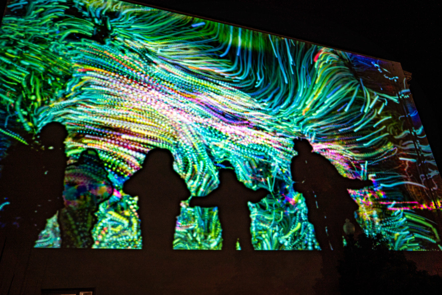 Napa Lighted Art Festival 2020